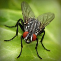 /album/liceo-pablo-neruda-temuco/photolia-a01-jpg/