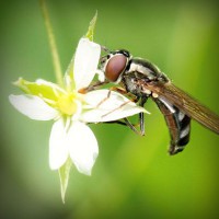 /album/liceo-pablo-neruda-temuco/photolia-a02-jpg/
