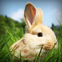 /album/liceo-pablo-neruda-temuco/photolia-a03-jpg/