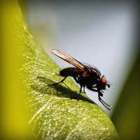 /album/liceo-pablo-neruda-temuco/photolia-a04-jpg/