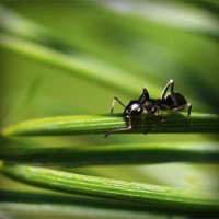 /album/liceo-pablo-neruda-temuco/photolia-a05-jpg/