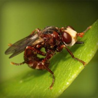 /album/liceo-pablo-neruda-temuco/photolia-a06-jpg/