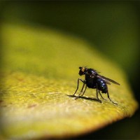 /album/liceo-pablo-neruda-temuco/photolia-a07-jpg/