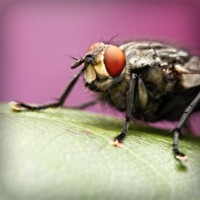 /album/liceo-pablo-neruda-temuco/photolia-a08-jpg/